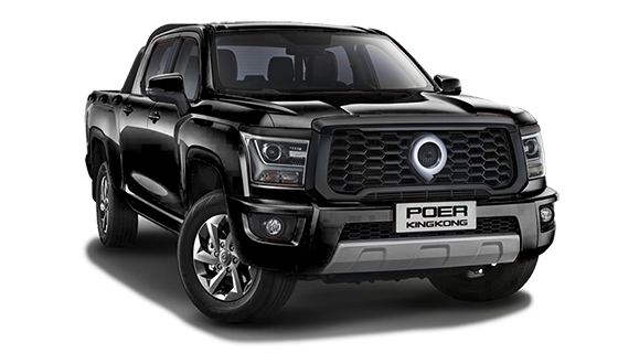 GWM Poer KingKong